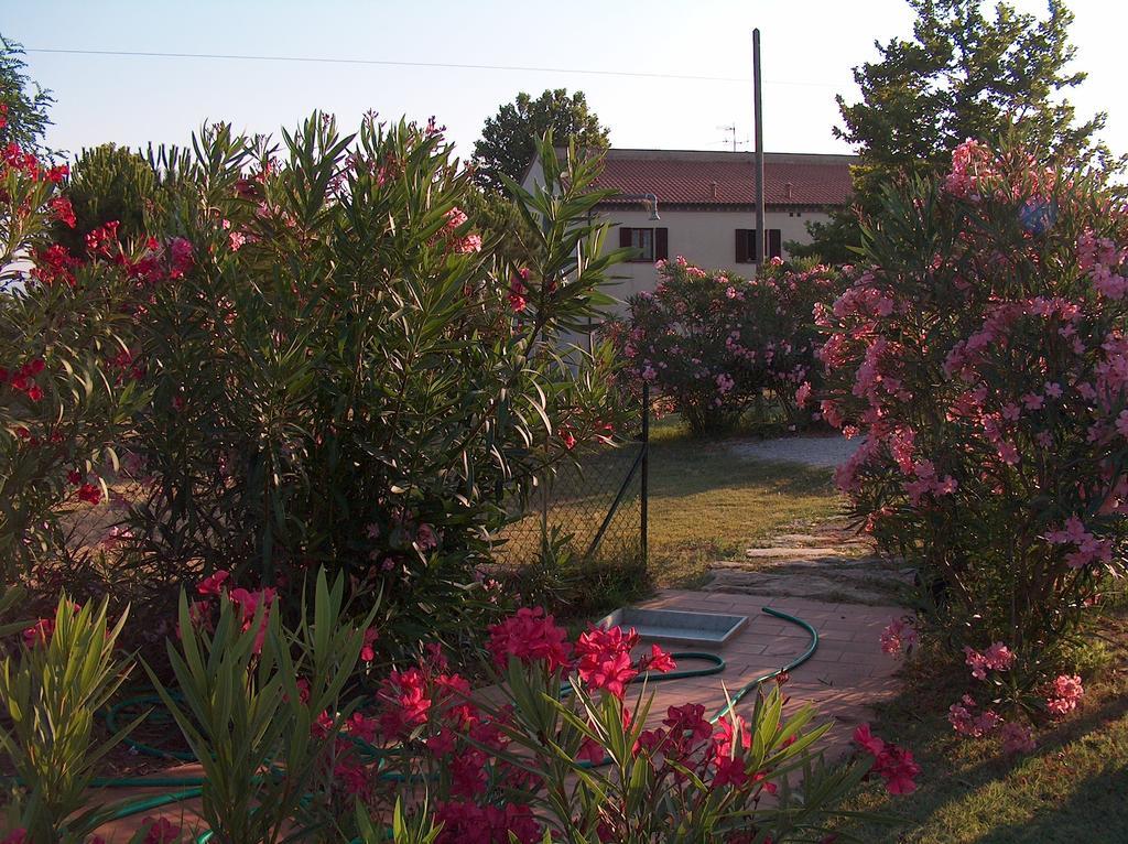הוילה קמפיליה מריטימה Azienda Agrituristica Allumiere מראה חיצוני תמונה
