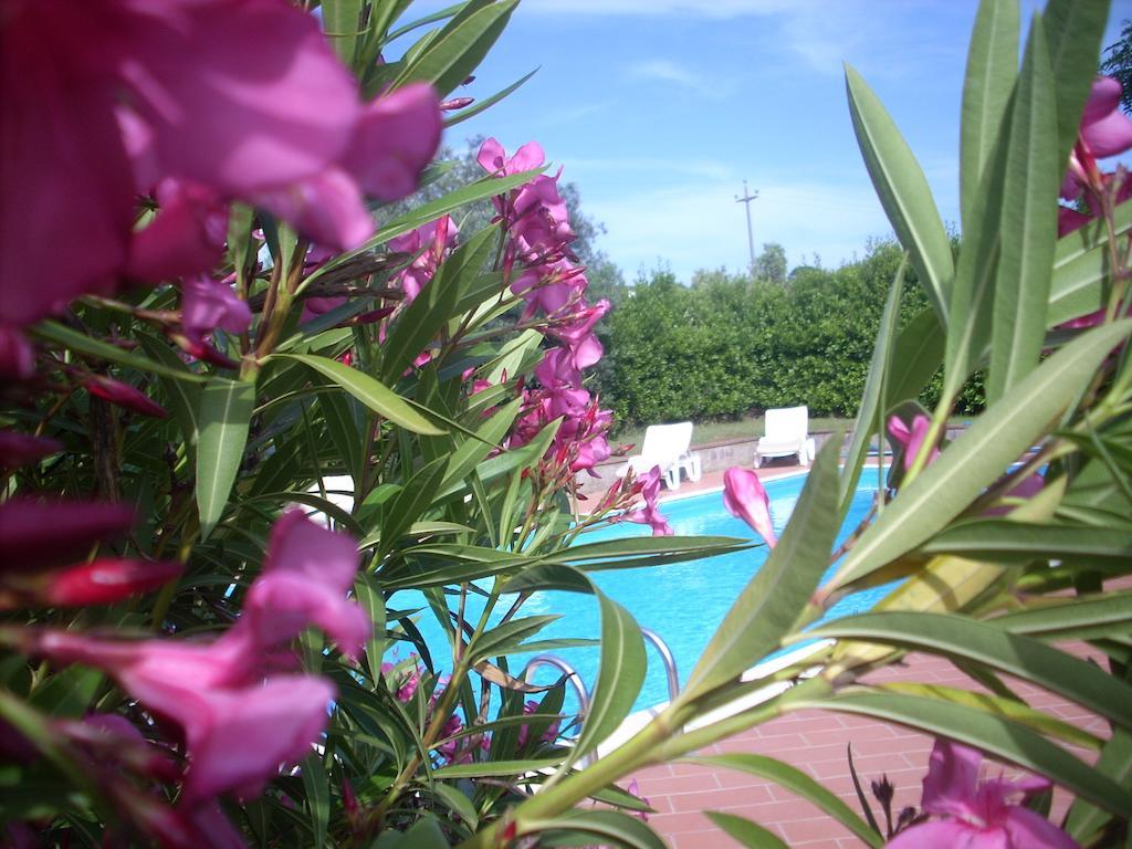הוילה קמפיליה מריטימה Azienda Agrituristica Allumiere מראה חיצוני תמונה
