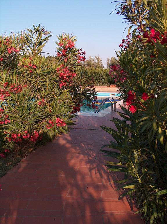 הוילה קמפיליה מריטימה Azienda Agrituristica Allumiere מראה חיצוני תמונה